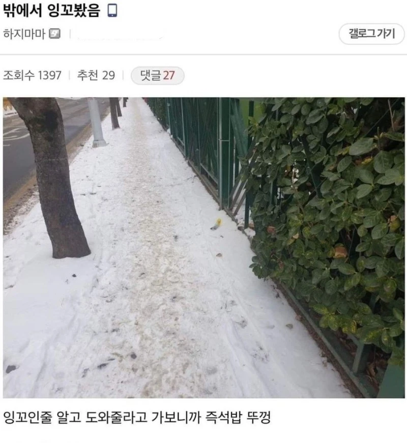 눈오는데 잉꼬