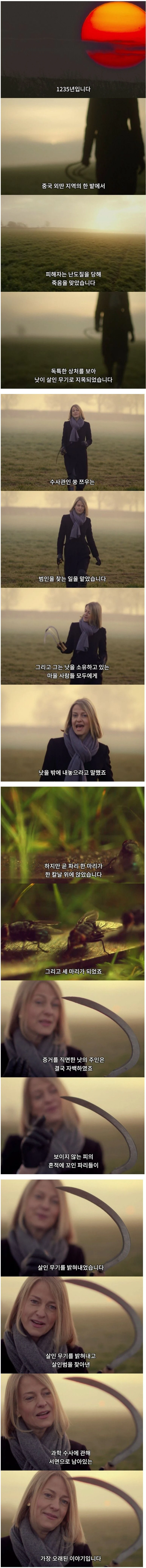 과학적인 수사를 했던 고대 중화