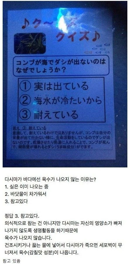 다시마가 바다에선 육수가 나오지 않는 이유