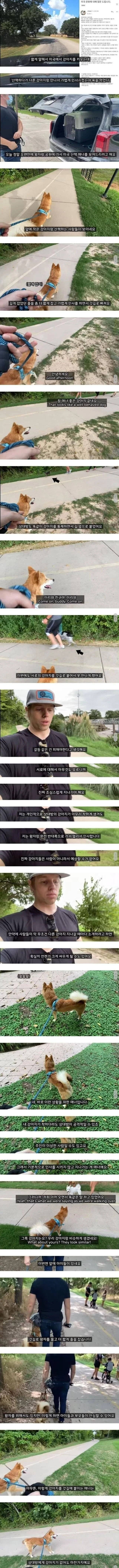 미국의 강아지 산책 문화
