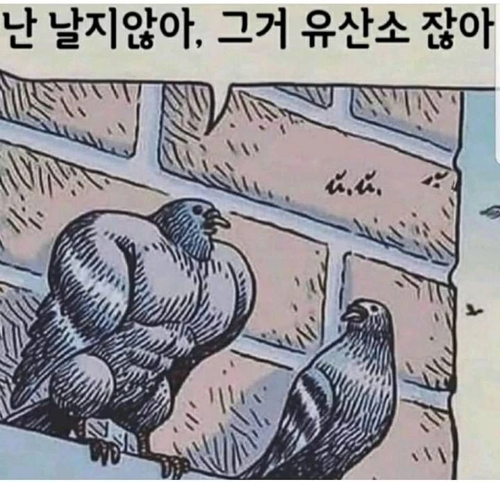 난 날지않아