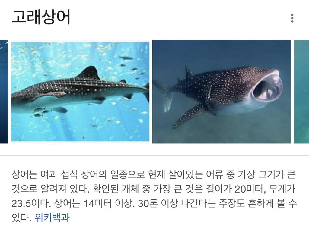 짤티비 - https://jjtv.kr