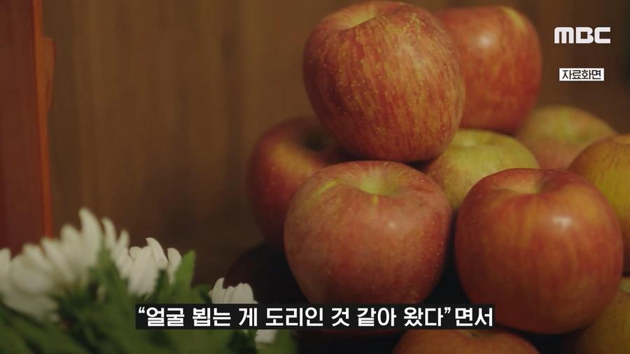 짤티비 - https://jjtv.kr