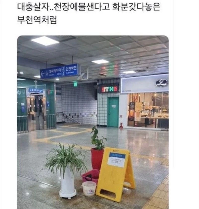 대충마인드