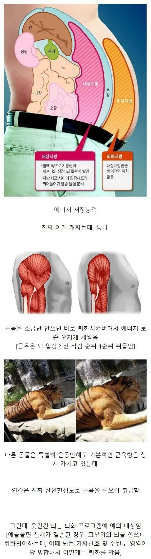 인간의 S급 능력 중 하나