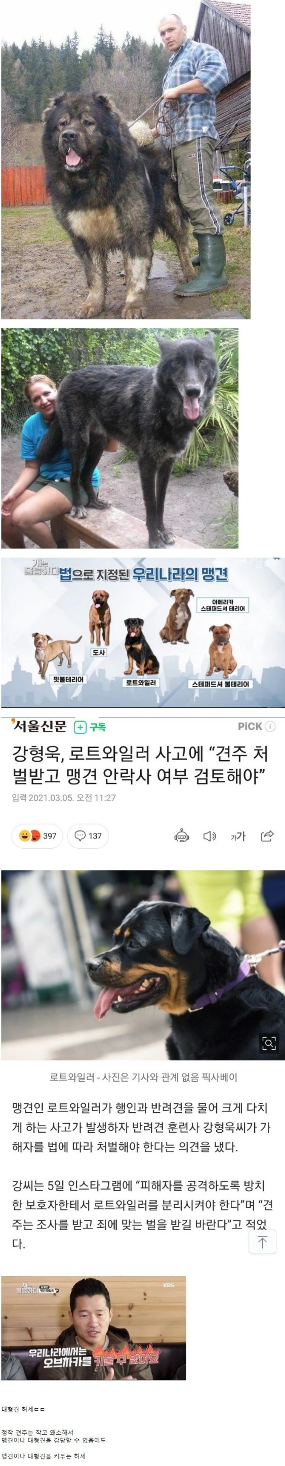 의외로 외제차 & 명품가방보다 심한 허세
