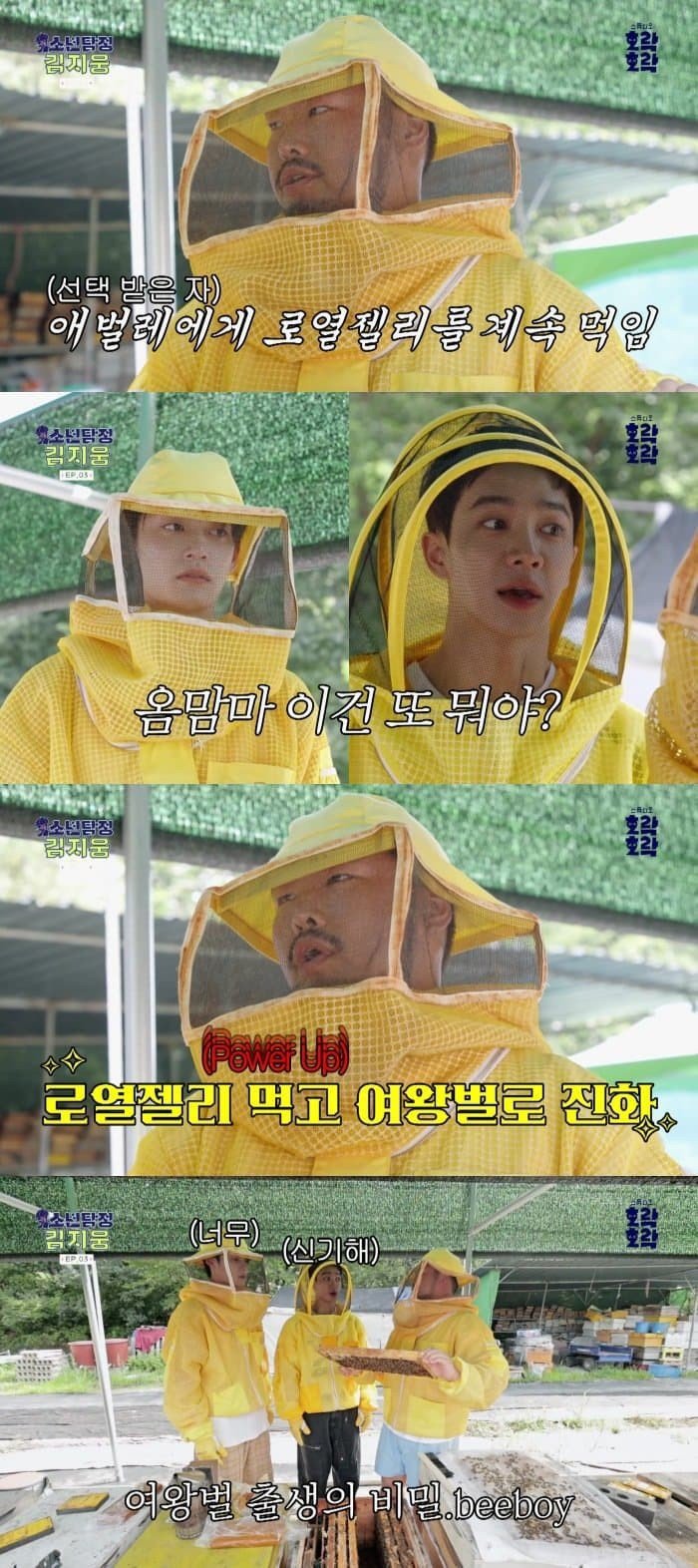 짤티비 - https://jjtv.kr