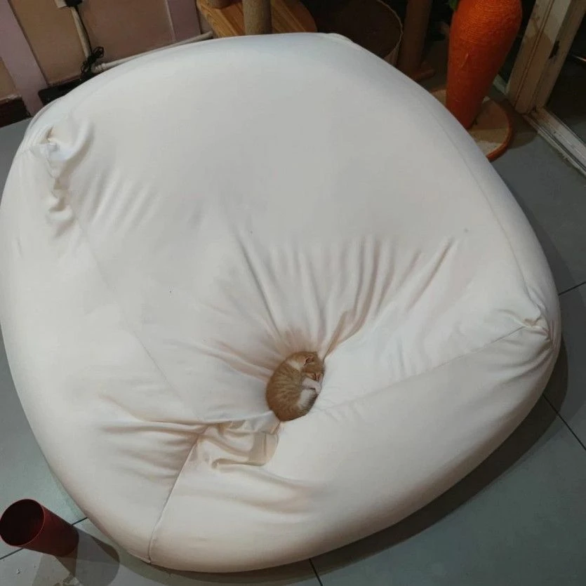 몸집에 비해 침대가 너무 커