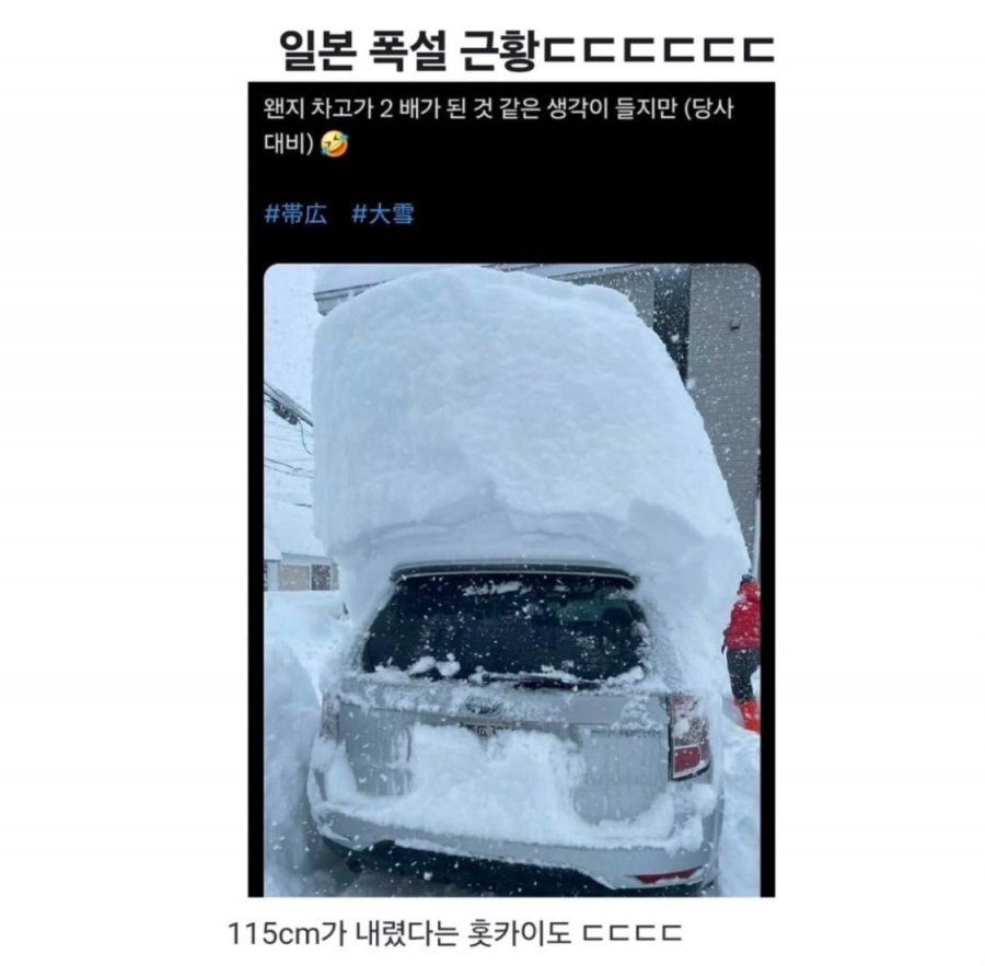 일본 눈내린 근황