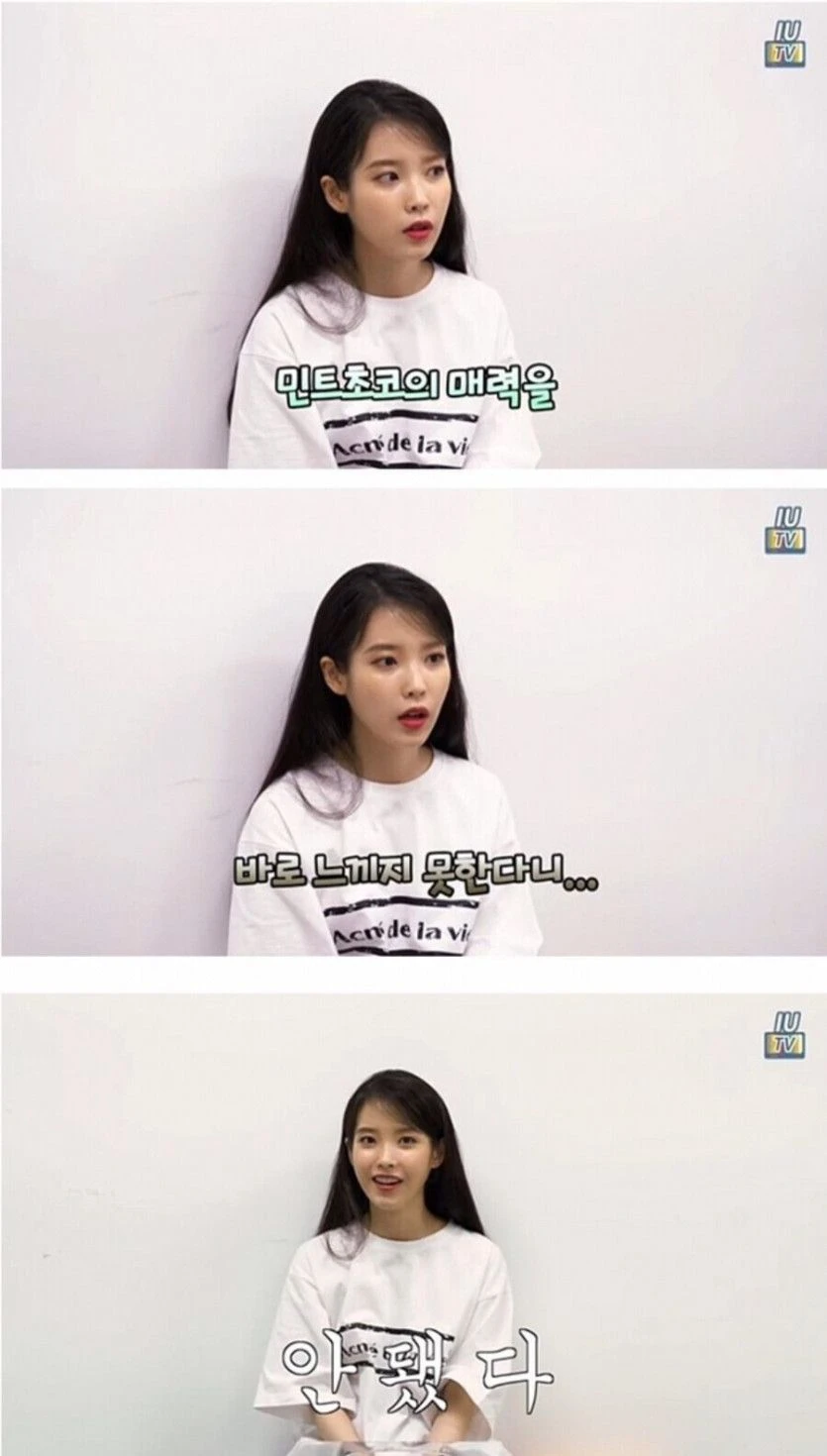 아이유 와 민트 초코