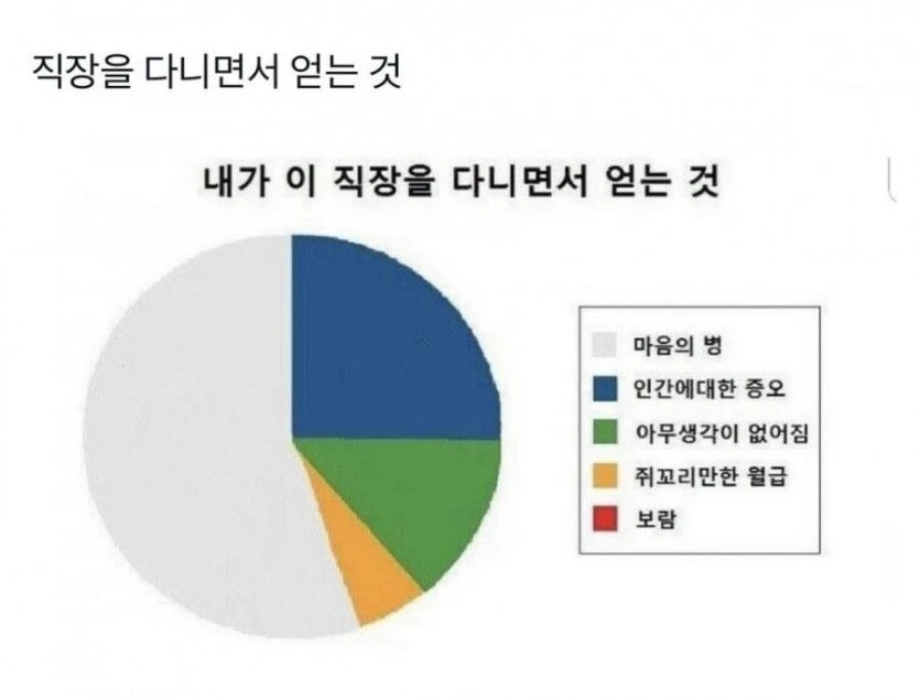 직장을 다니면서 얻는것