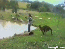 백어택