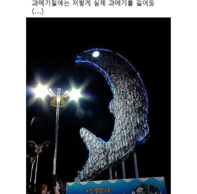 17076209173482.jpeg