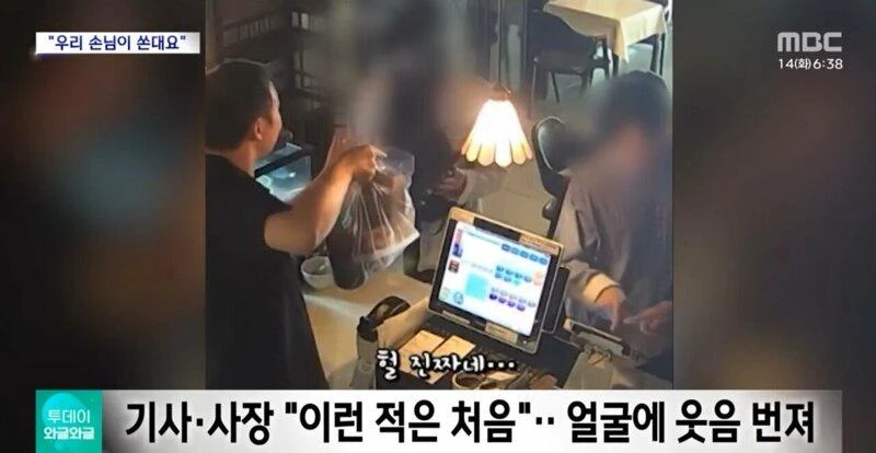 짤티비 - https://jjtv.kr