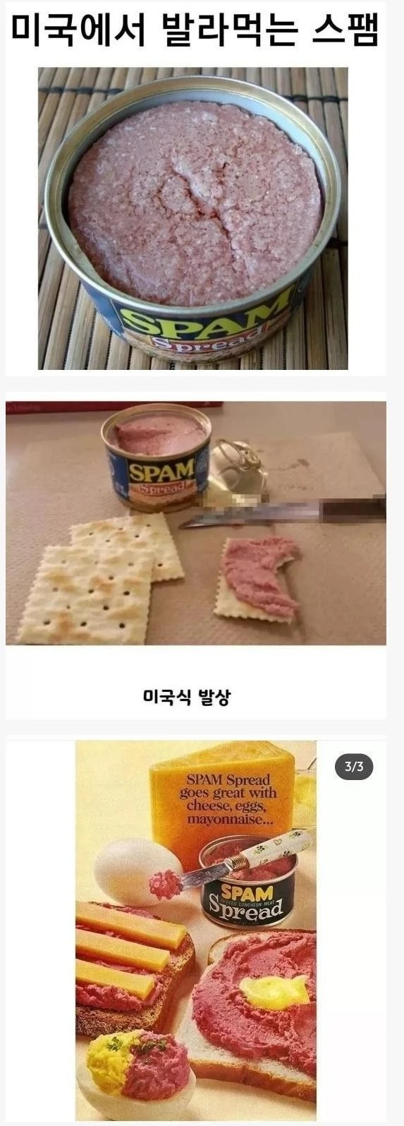 잼처럼 발라먹는 미국 스팸