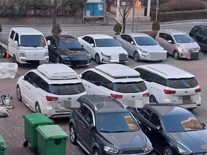 흰색 카니발×3