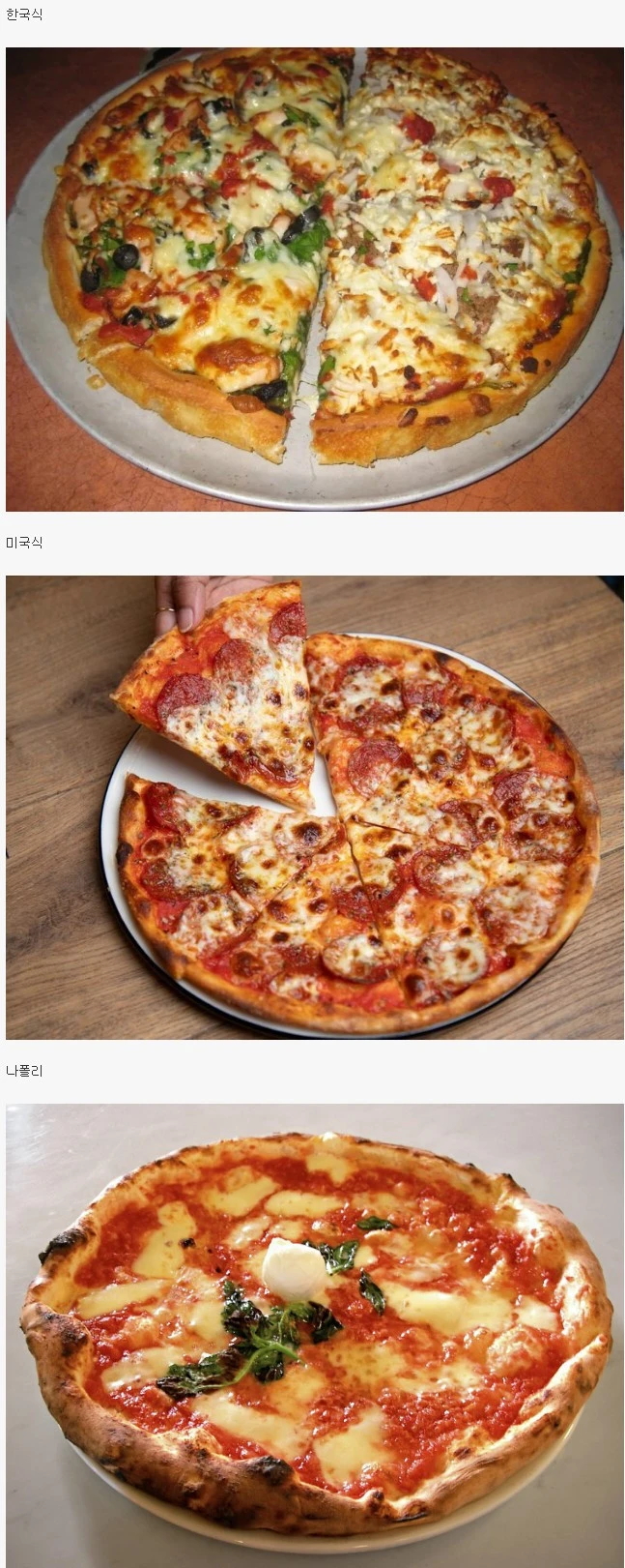 사람마다 선호하는 게 다른 피자 스타일