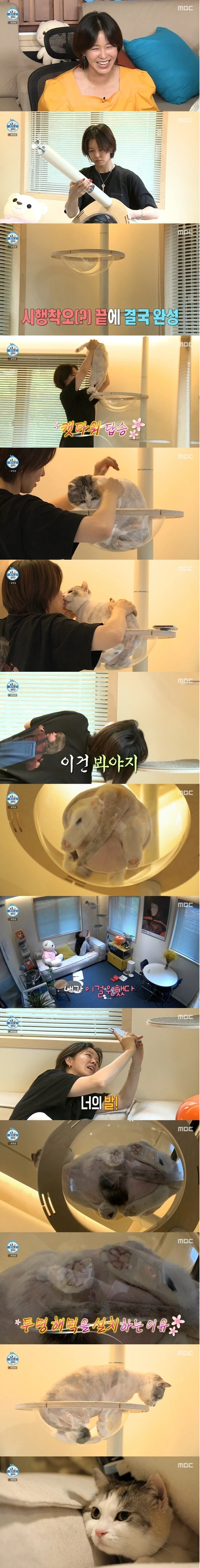 투명 캣타워의 장점