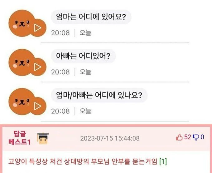 냥냥이 번역기를 돌려보았다