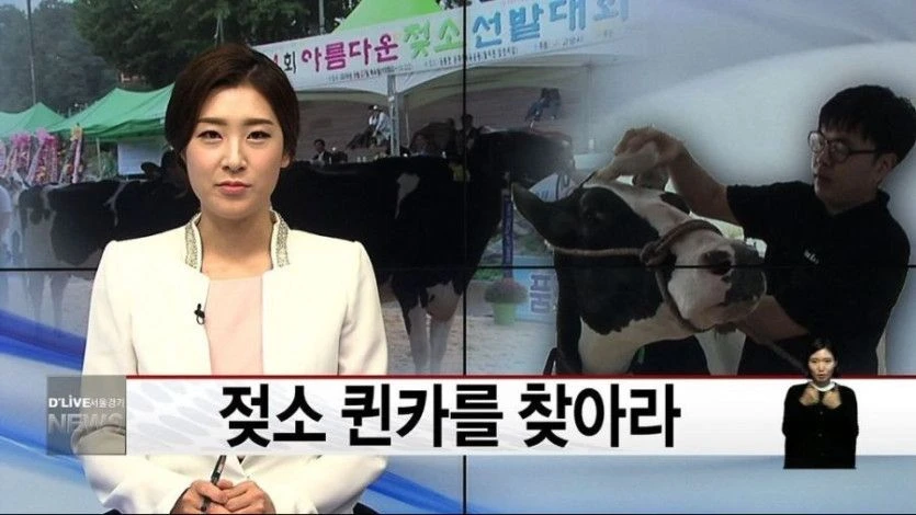 유방 (40점) 다리 (25점) 외모 (25점) 엉덩이 (10점)