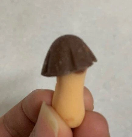 17079958364732.jpeg