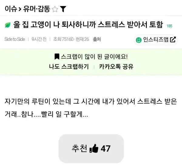 퇴사하니까 냥냥이가 스트레스 받아서 토함