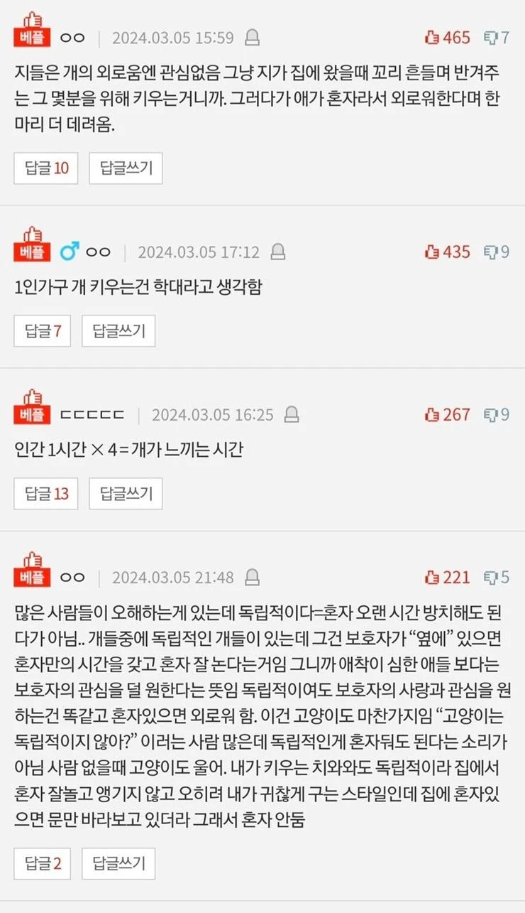짤티비 - https://jjtv.kr