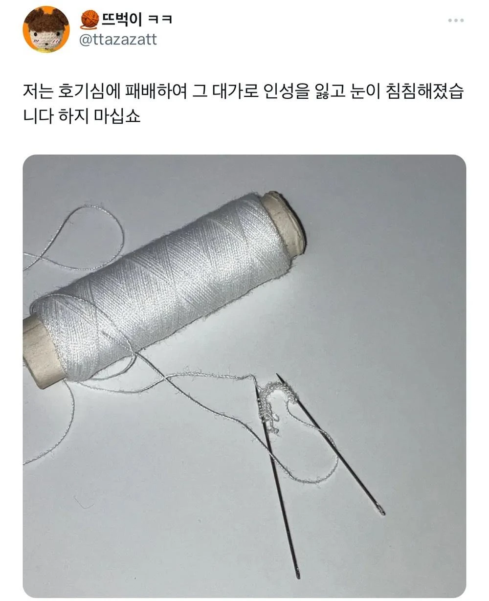 짤티비 - https://jjtv.kr