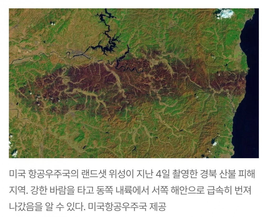 위성으로 촬영한 경북 산불 피해