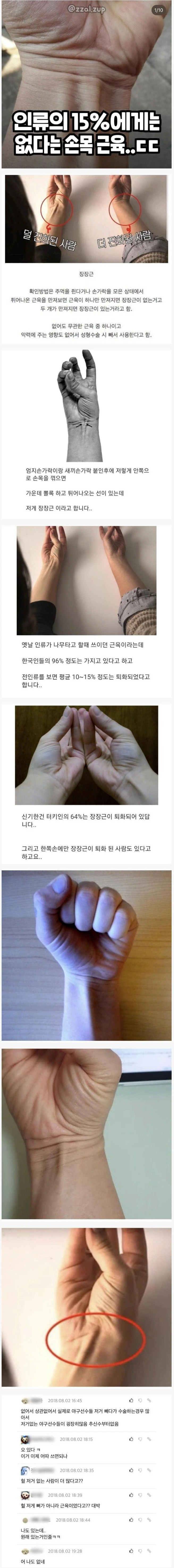 인류의 15%는 없다는 손목 근육