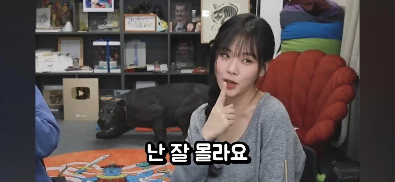 짤티비 - https://jjtv.kr
