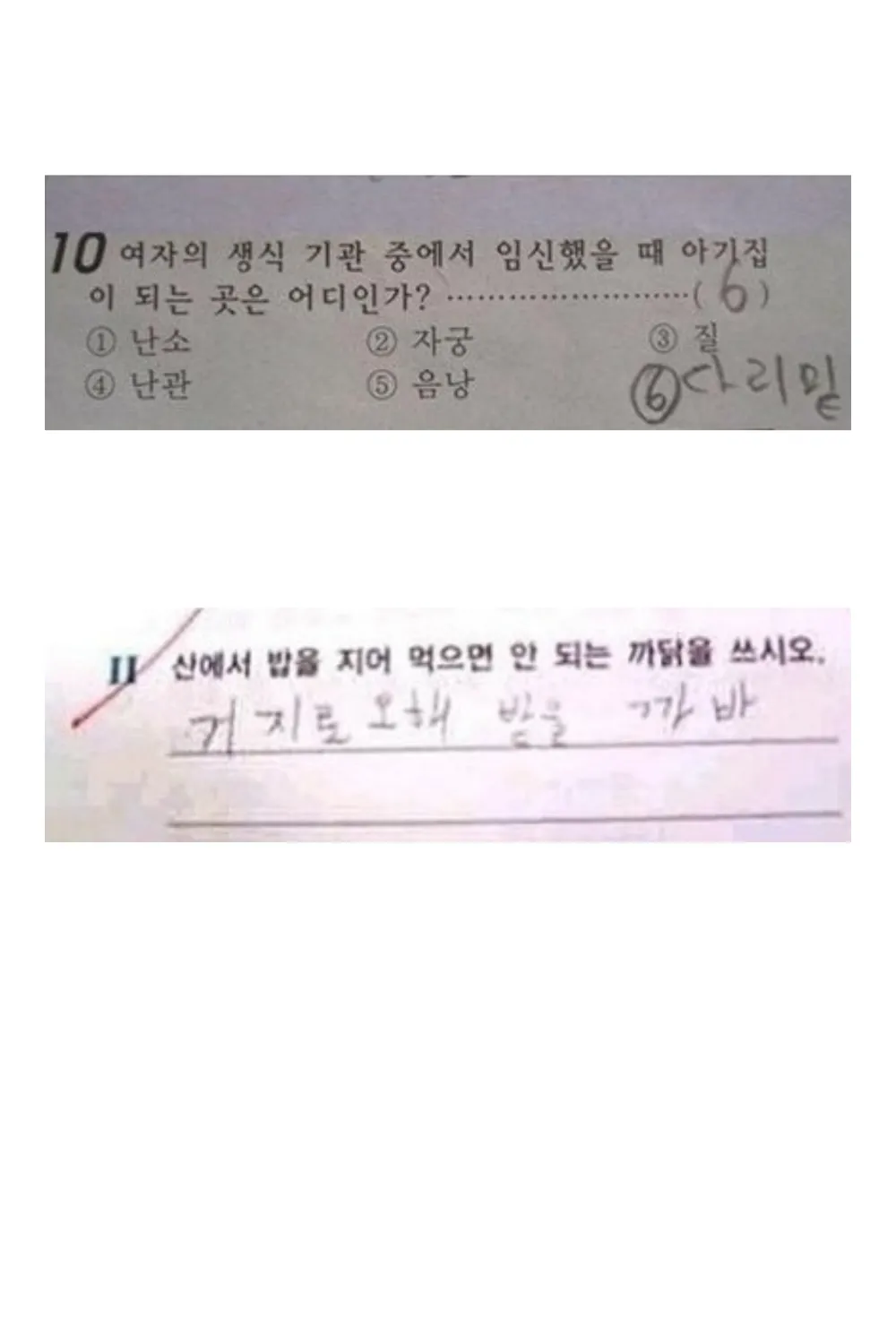 선생님을 당황시킨 기절초풍 초딩시험 답안지 모음#4