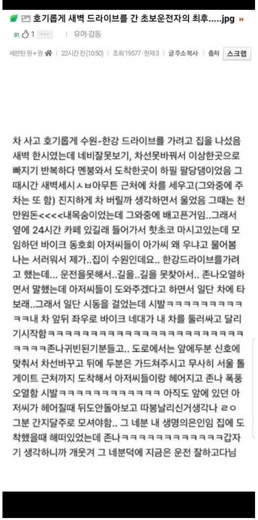 호기롭게 새벽 드라이브를 간 초보운전자의 최후