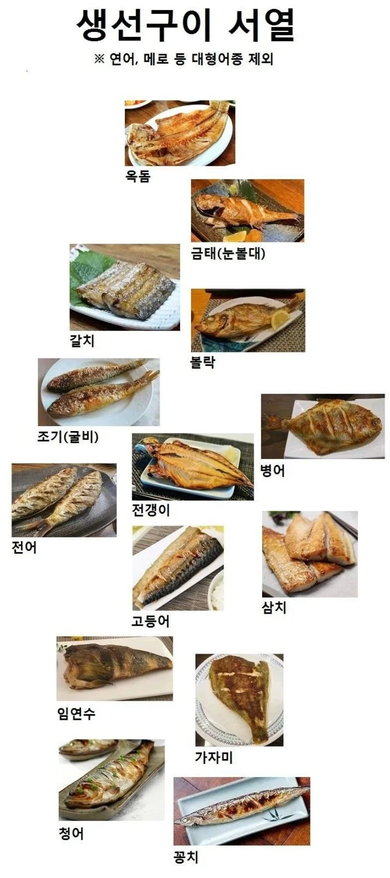 반박불가 생선구이 티어표.jpg