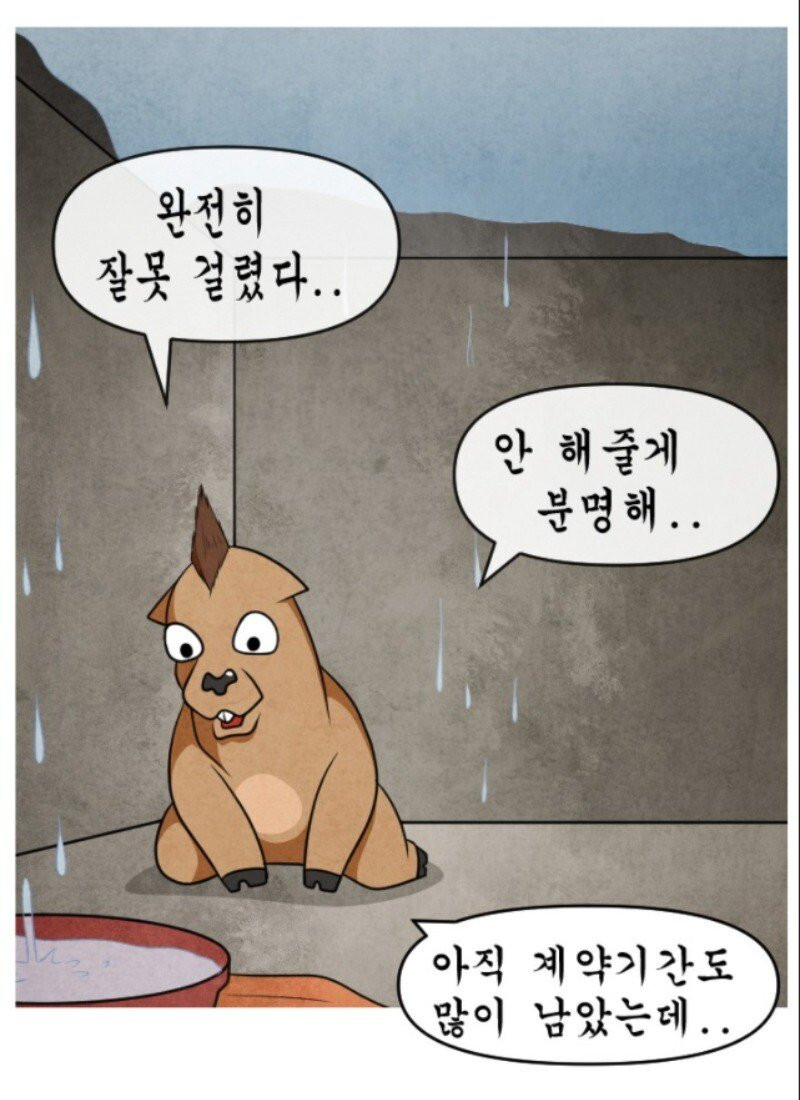 bt8c4e47544fe1050d7d2fdc63107d96b9.png