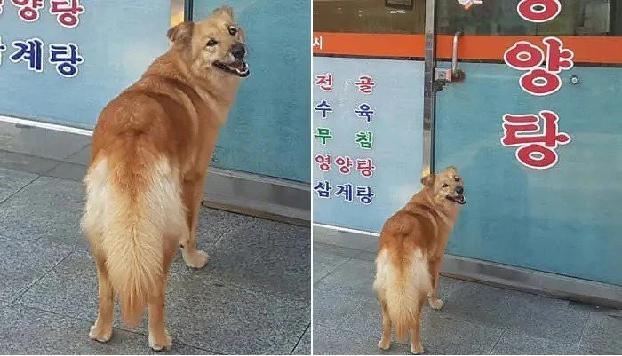 펨코 현 상황이라고 합니다