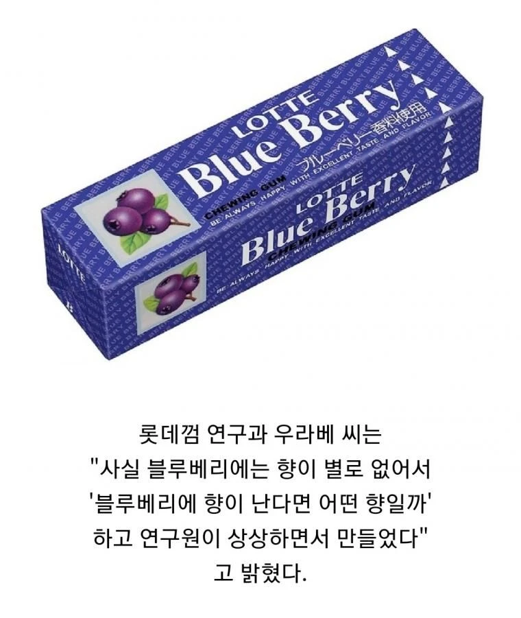 블루베리향의 비밀