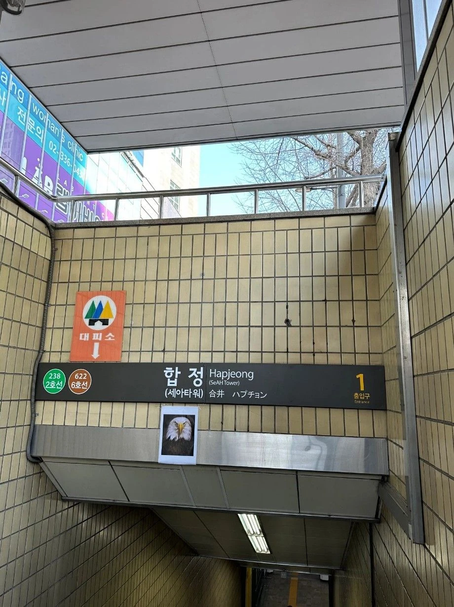 합정역에 왔으면 이글부터 봐라