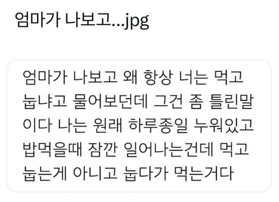 엄마가 나보고 왜 항상 먹고 눕냐는데
