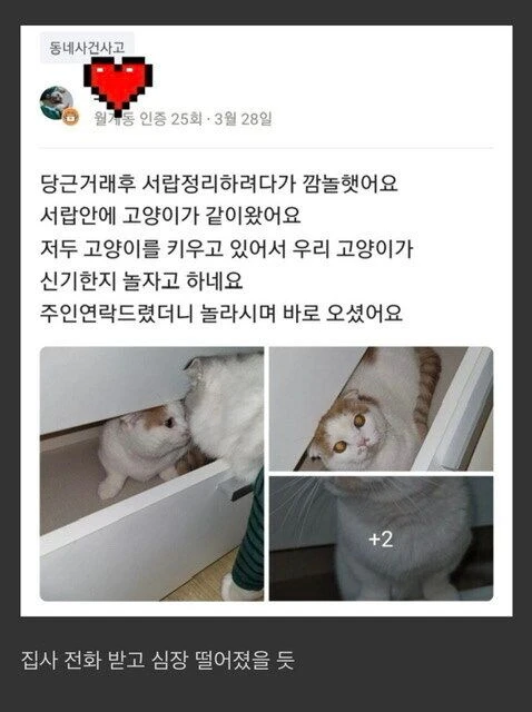 당근거래로 엄청난 덤을 받은 사람ㅋㅋㅋ