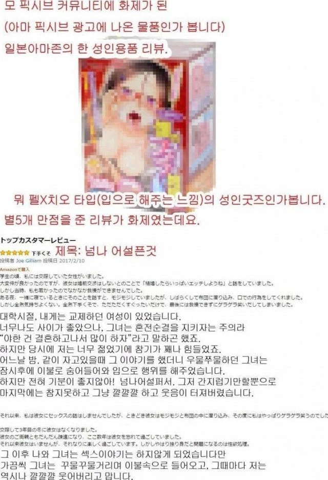 일본 네티즌의 슬픈 오나홀 후기