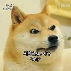 17076497267082.jpeg
