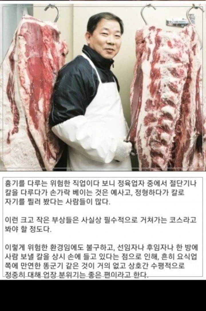 똥군기가 절대 나올수 없는 업종