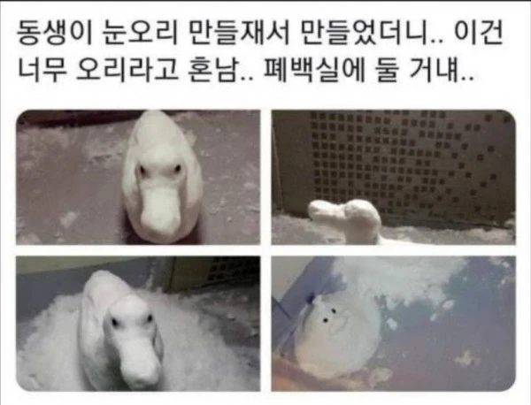 눈오리