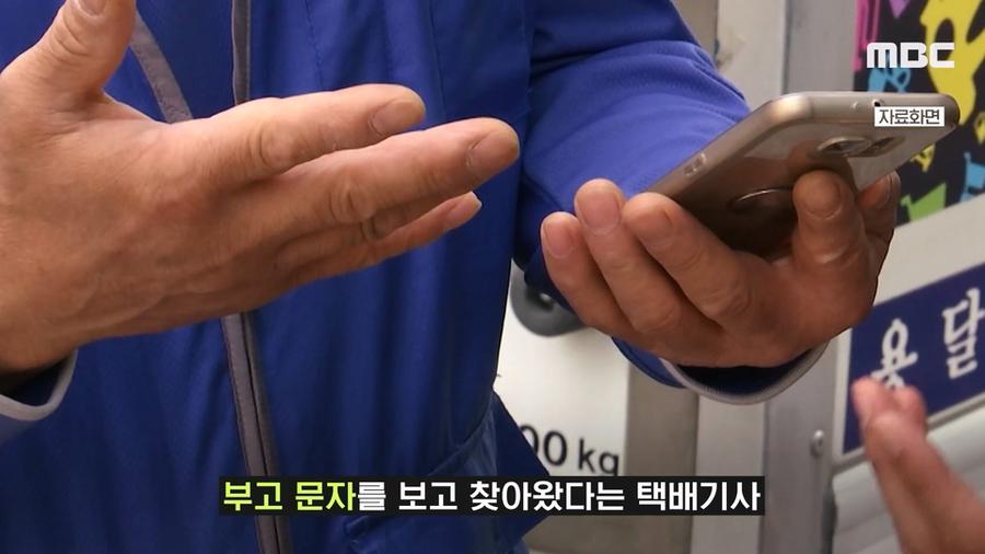 짤티비 - https://jjtv.kr