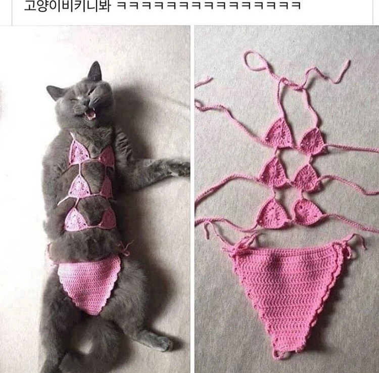 비키니.ㅋㅋㅋ