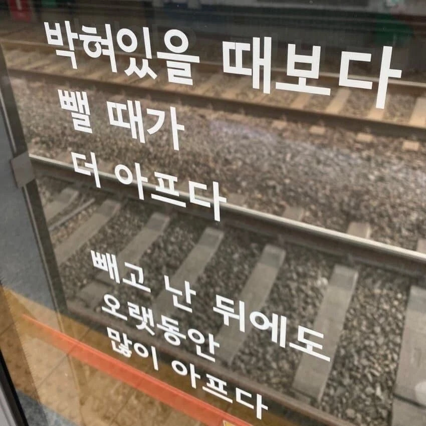 지하철 스크린도어 시 레전드
