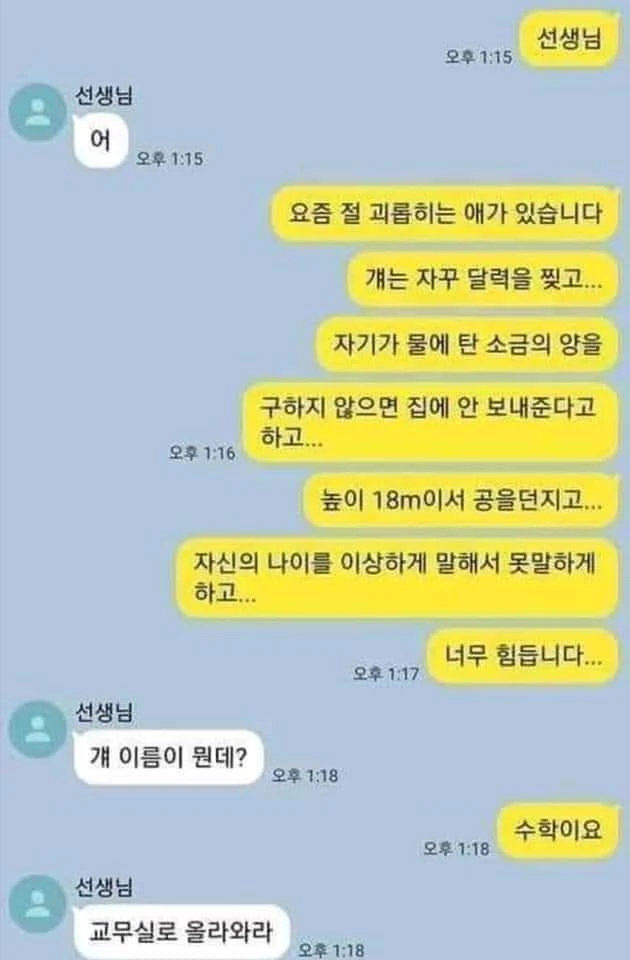 담당일진