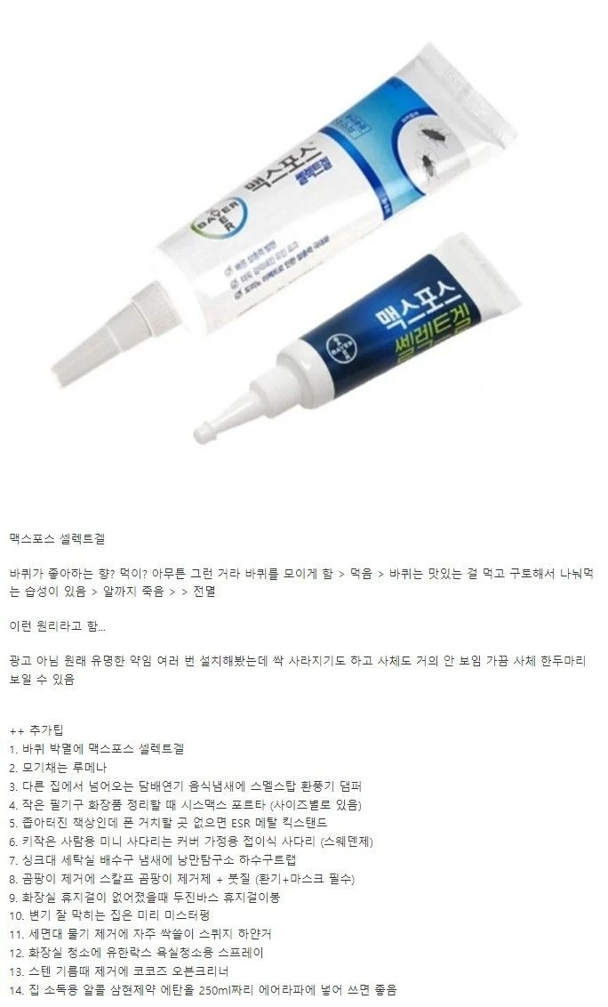 바퀴벌레 박멸에 효과 가장 좋다는 약