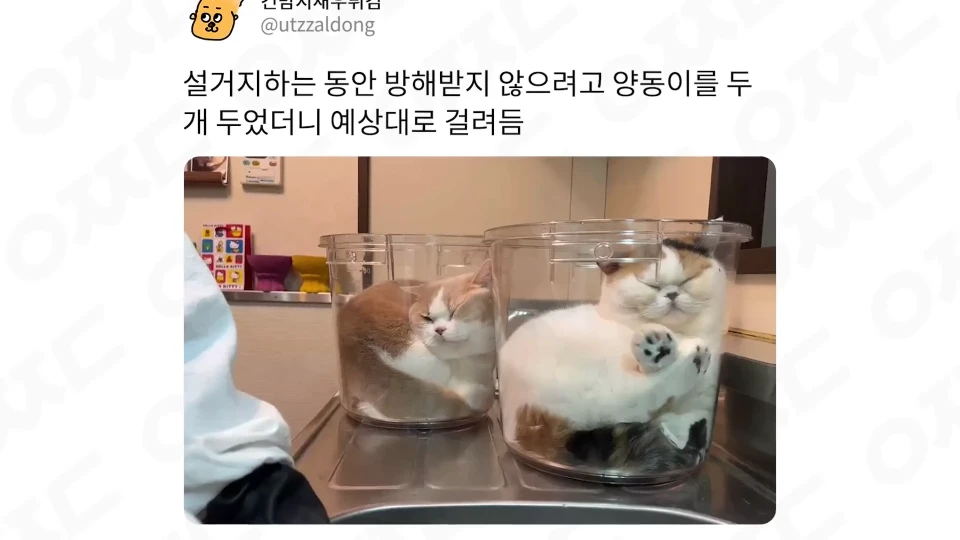 덫에 걸려듬